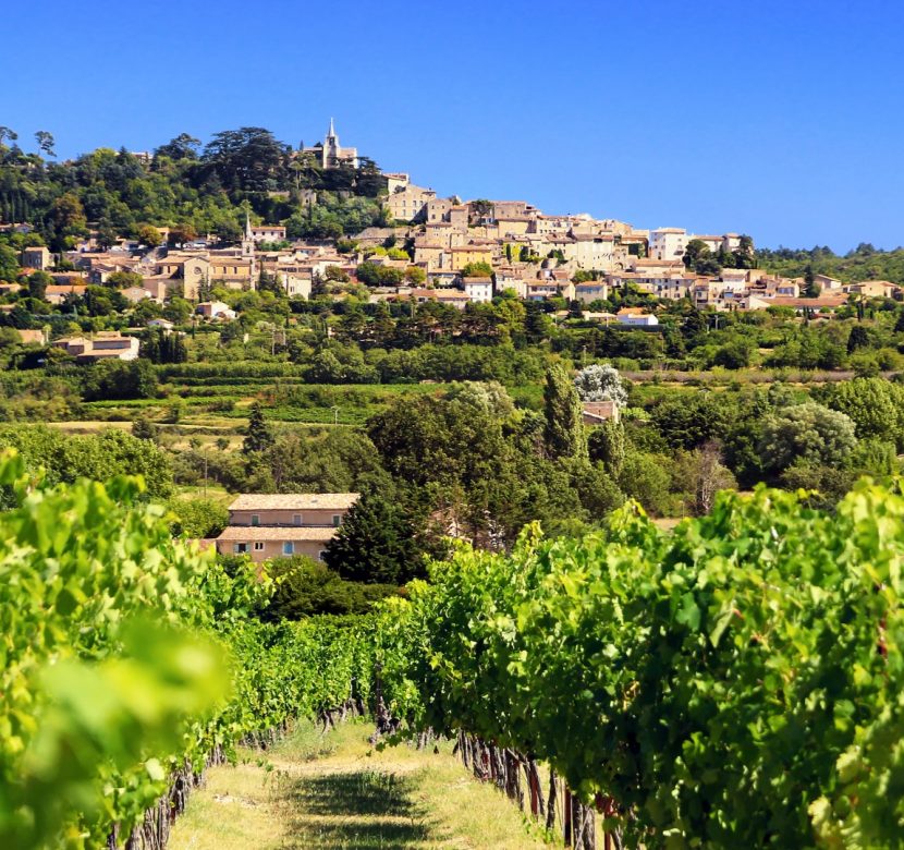 vineyards-in-provence-picture-id1150448702